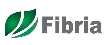 Fibria - Suzano
